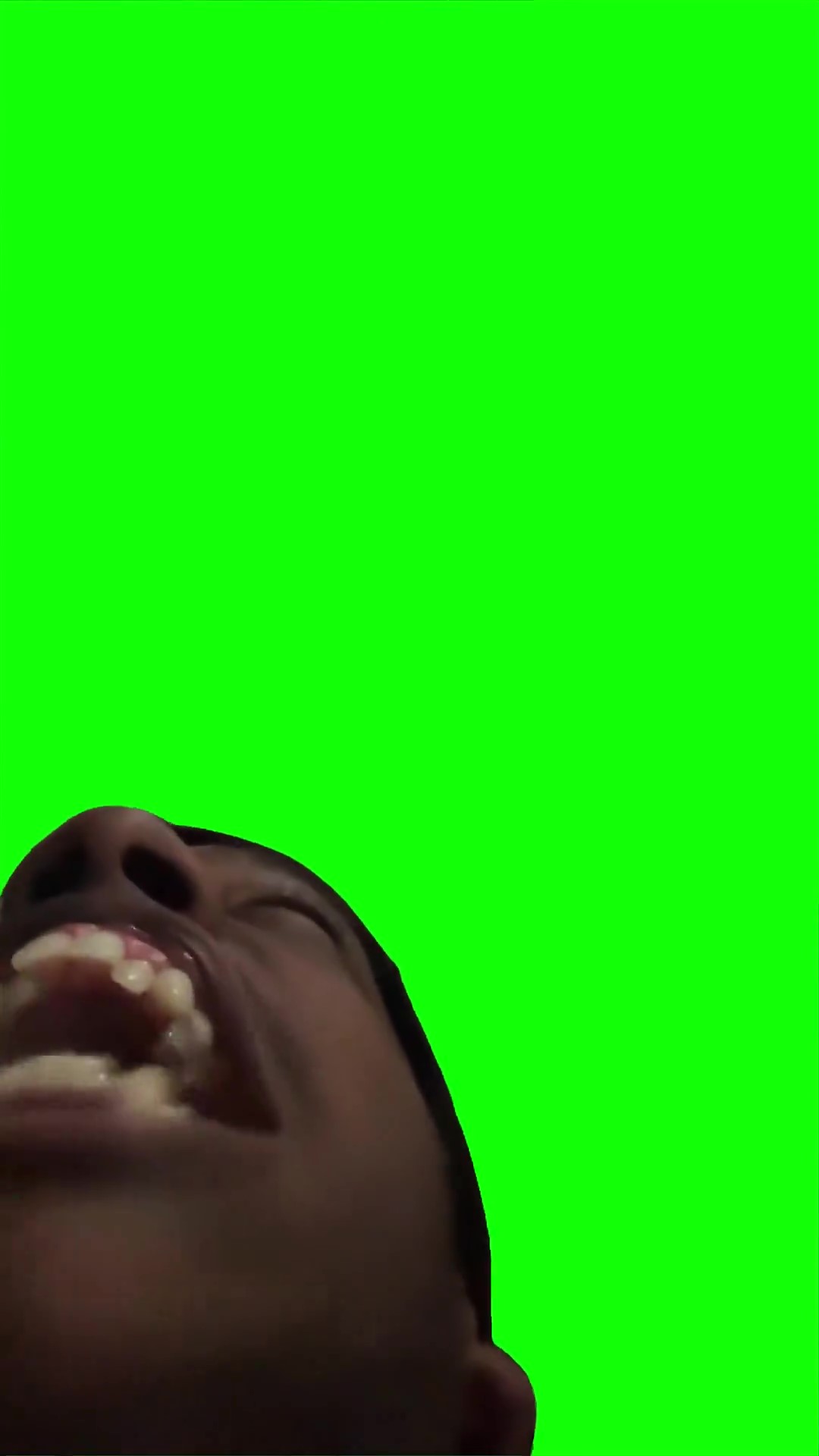 Yayauayauayaay Green Screen Meme