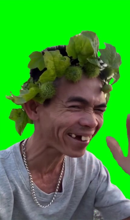 Yeah whooo how are you Meme Green Screen